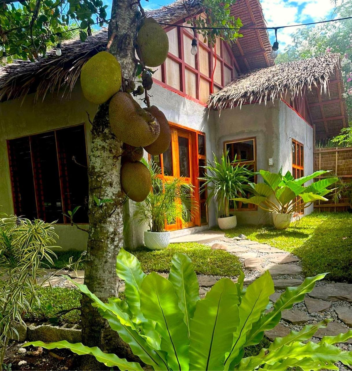Bohol Island Homestay Dauis Exterior photo