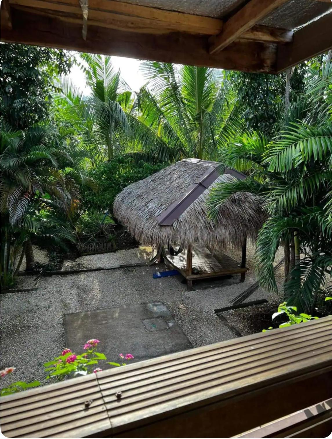 Bohol Island Homestay Dauis Exterior photo