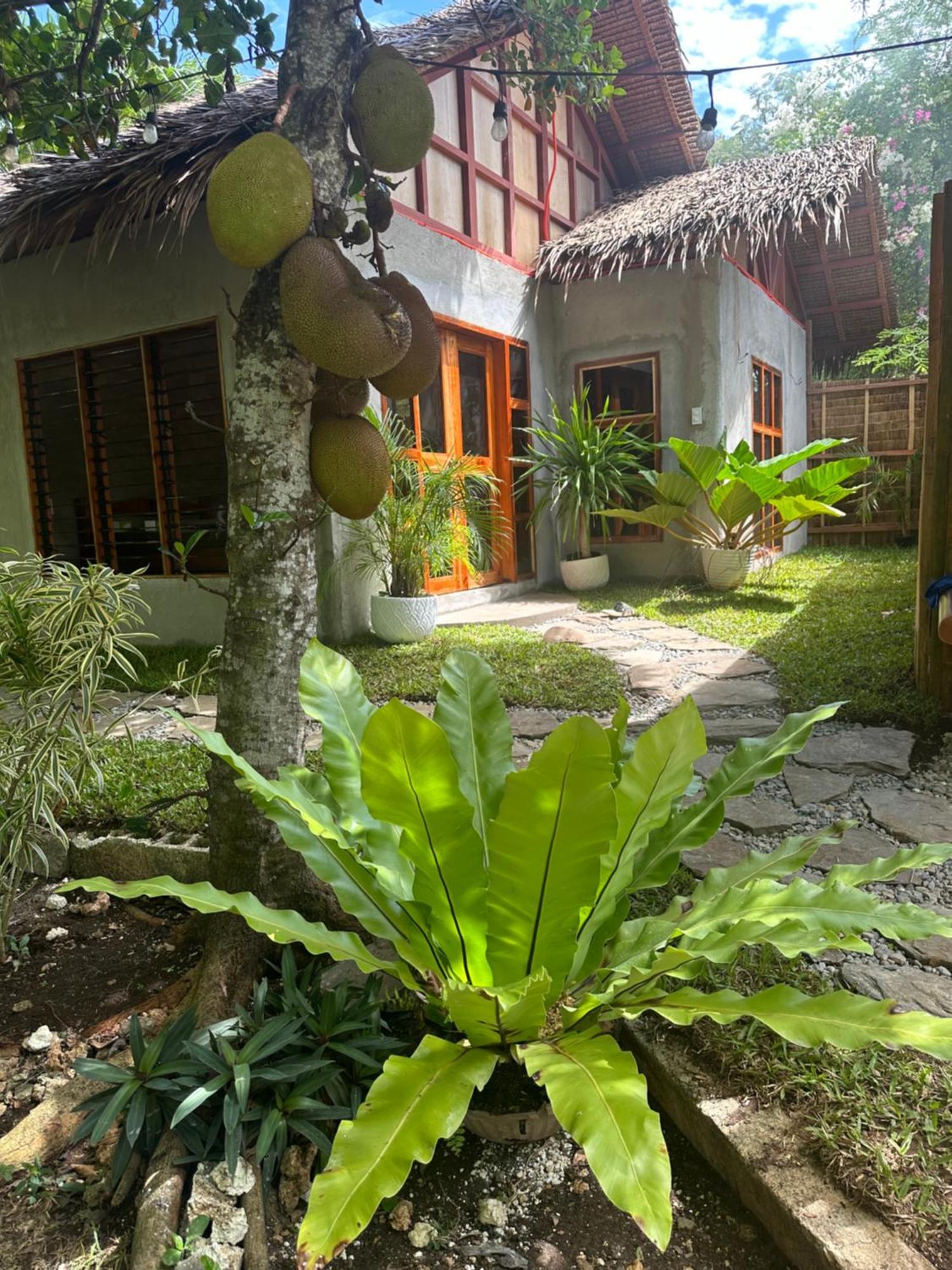Bohol Island Homestay Dauis Exterior photo